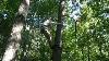 74 Platform Vs Rings Of Steps Maneuvering Around Tree Using Tree As Buffer Shooting U0026 Much More